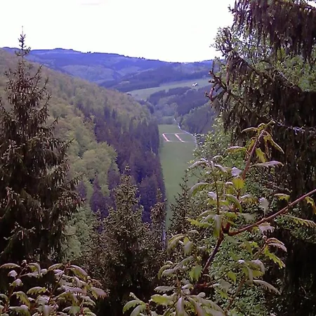 Luxurious In Near Public Pool * Medebach