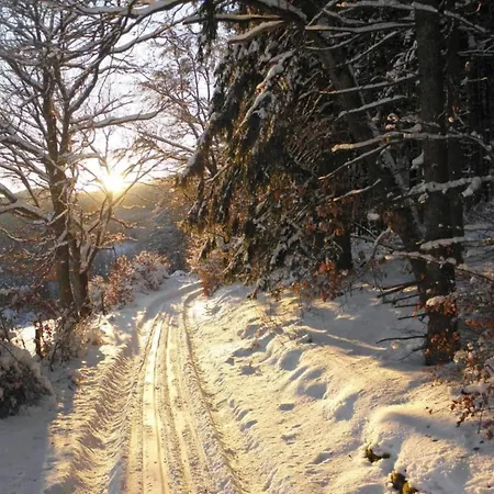 Luxurious In Near Public Pool Apartamento *