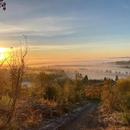 Luxurious In Near Public Pool Medebach