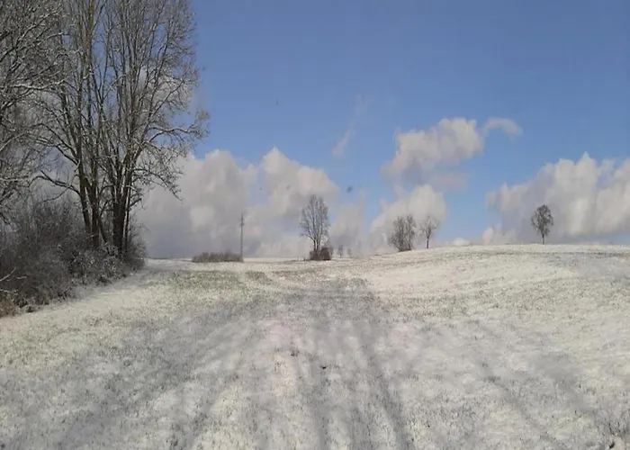 Luxurious In Near Public Pool Appartement Medebach