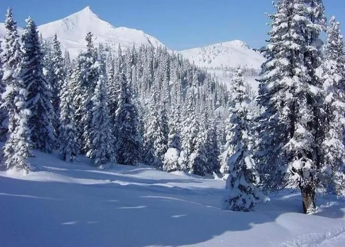 דירה Luxurious In Near Public Pool *