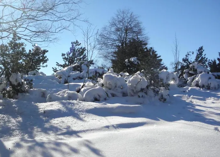 Appartement Luxurious In Near Public Pool *