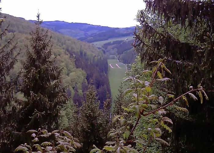 Luxurious In Near Public Pool * Medebach