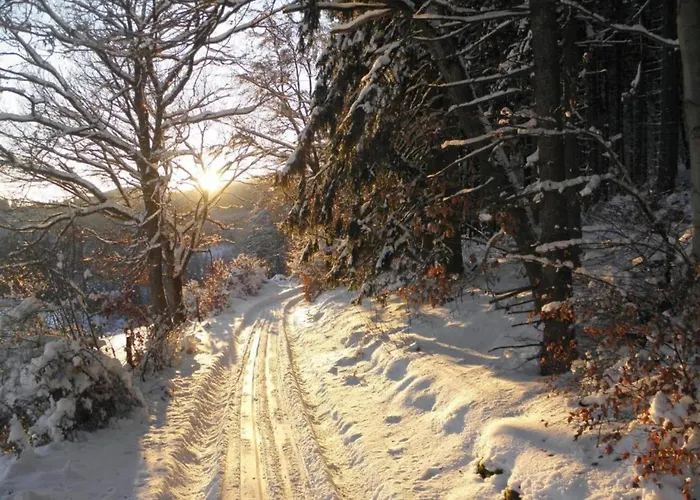 Luxurious In Near Public Pool דירה *